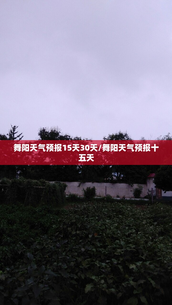 舞阳天气预报15天30天/舞阳天气预报十五天