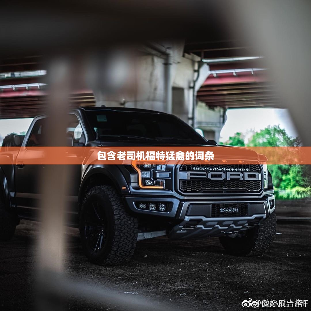 包含老司机福特猛禽的词条的简单介绍