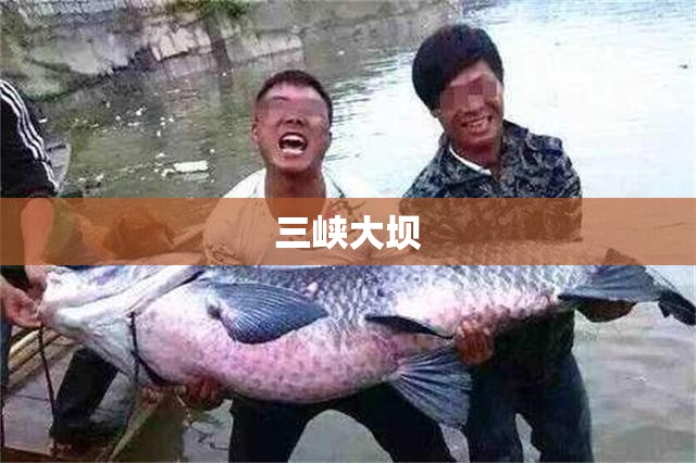 【三峡大坝,三峡大坝建于哪年,完工哪年】