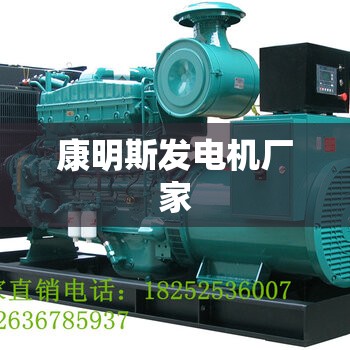 【康明斯发电机厂家/康明斯发电机厂家直销】