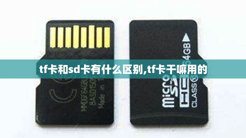tf卡和sd卡有什么区别,tf卡干嘛用的