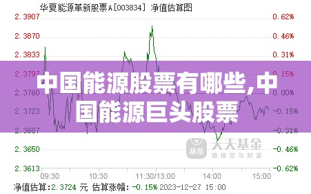 中国能源股票有哪些,中国能源巨头股票