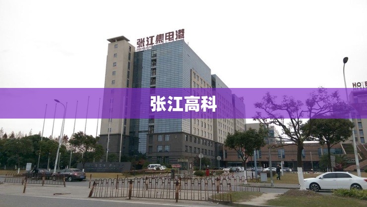 【张江高科/张江高科吧600827股吧】