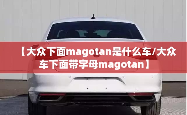 【大众下面magotan是什么车/大众车下面带字母magotan】