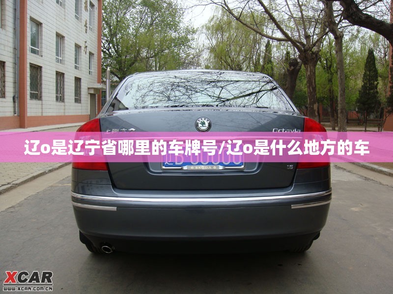推荐一款“大头大菠萝外卦神器下载安装”辅助透视教程