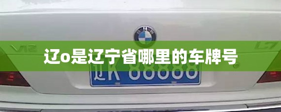 辽o是辽宁省哪里的车牌号/辽o是什么地方的车