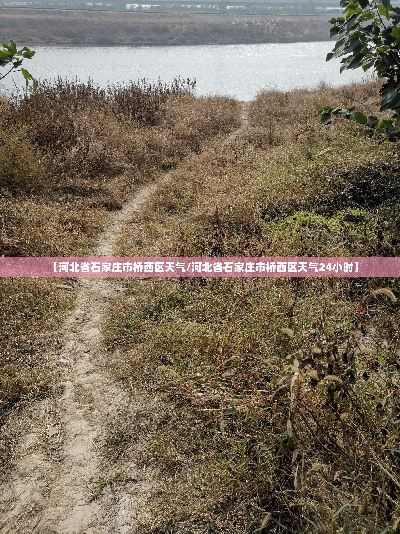 【张江高科/张江高科吧600827股吧】