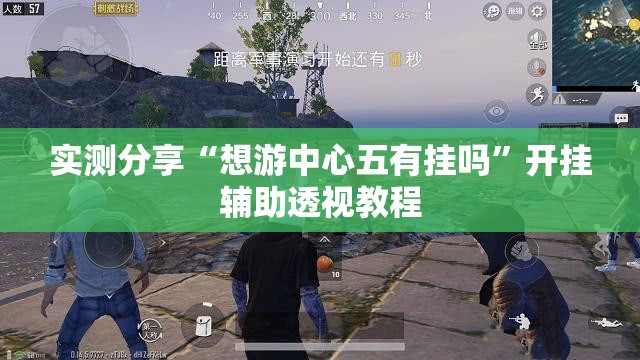 实测分享“想游中心五有挂吗”开挂辅助透视教程