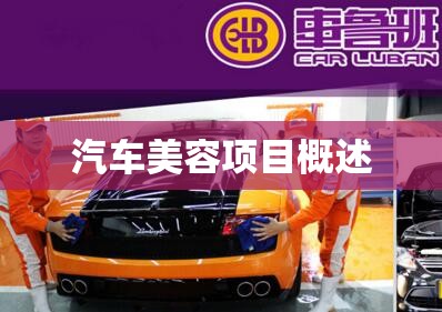 汽车美容项目概述,汽车美容项目大全表格