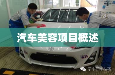 汽车美容项目概述,汽车美容项目大全表格