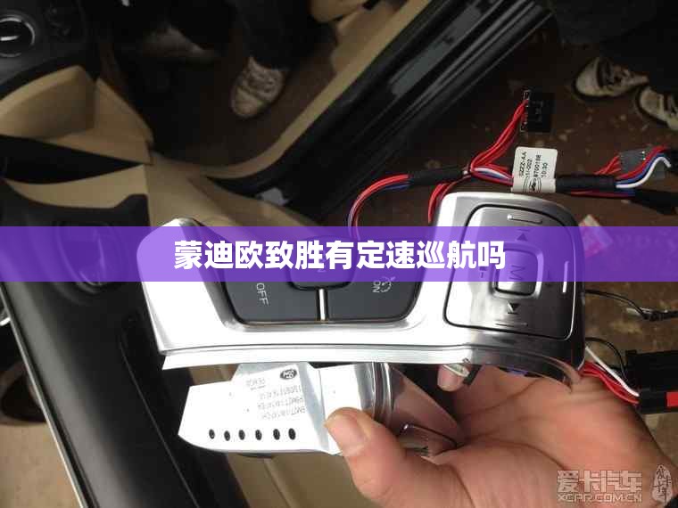 蒙迪欧致胜有定速巡航吗