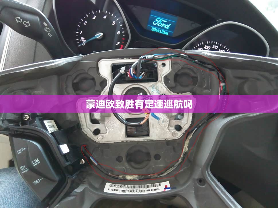 蒙迪欧致胜有定速巡航吗