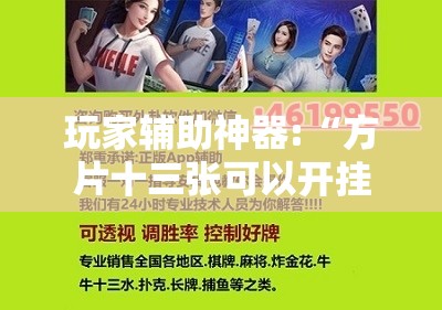 辅助最新信息“大懒人娱乐开挂教程”开挂辅助透视教程