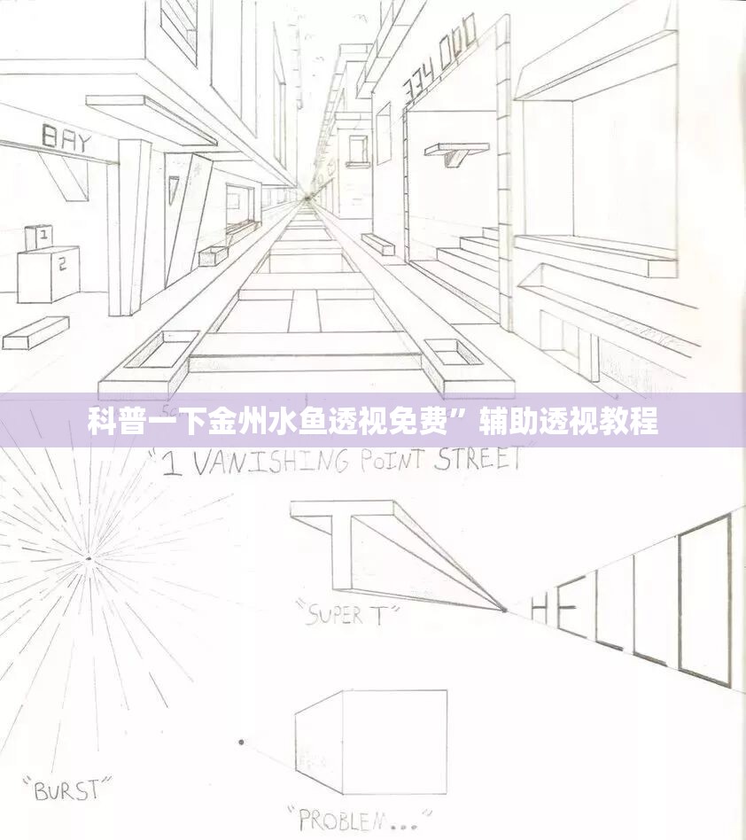 科普一下金州水鱼透视免费”辅助透视教程