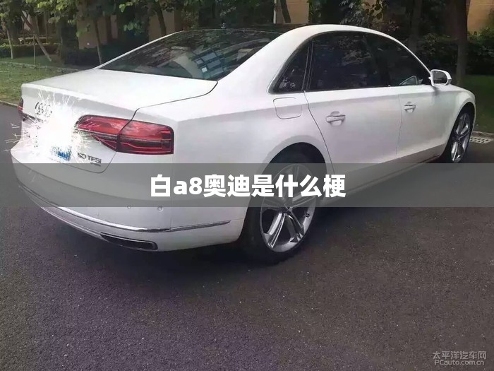 白a8奥迪是什么梗 白a8奥迪是什么梗