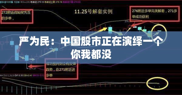 严为民：中国股市正在演绎一个你我都没