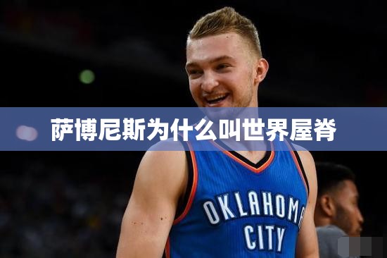 萨博尼斯为什么叫世界屋脊