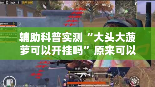 辅助科普实测“大头大菠萝可以开挂吗”原来可以开挂