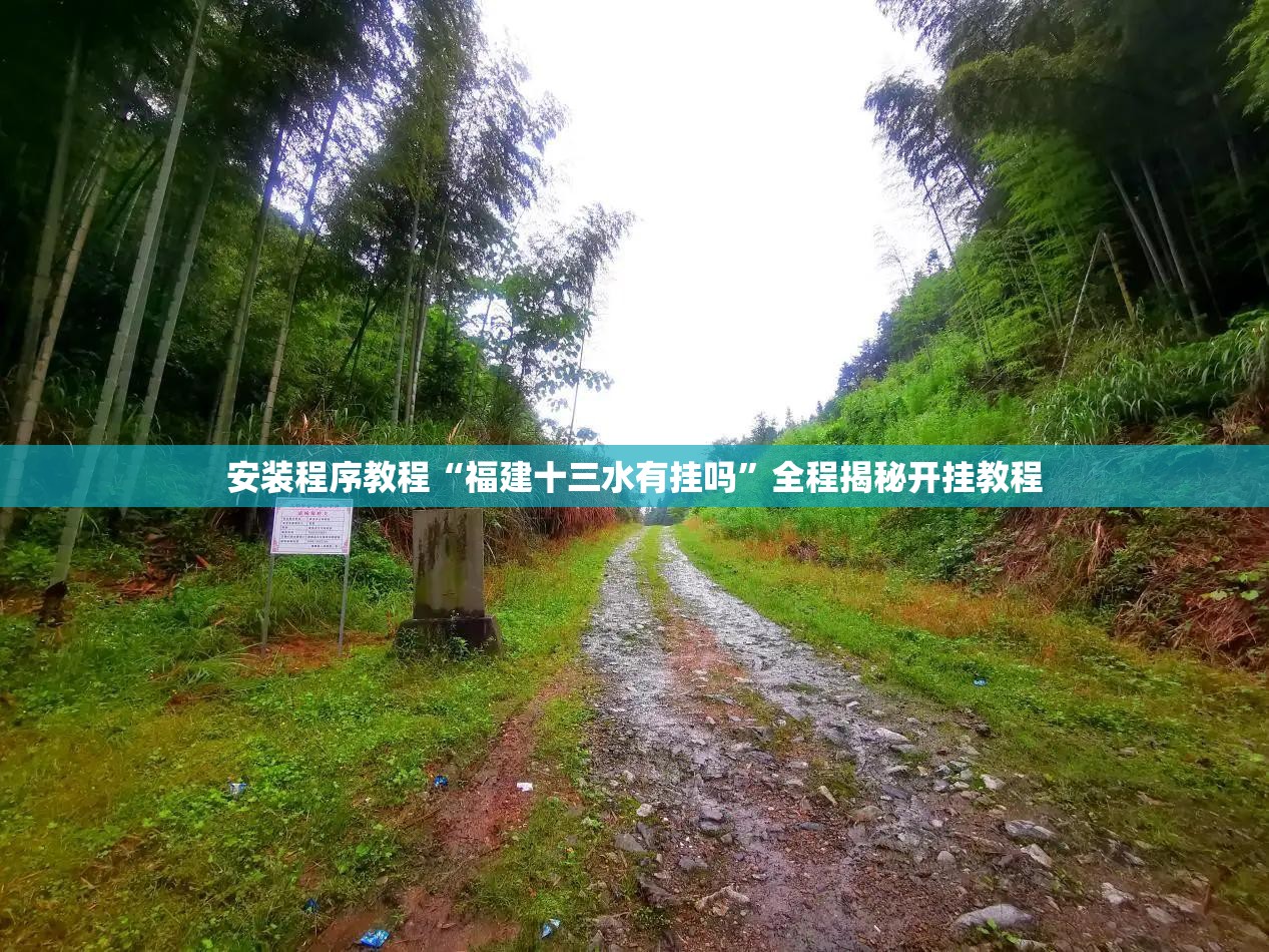 12款凯美瑞上坡辅助键在哪里