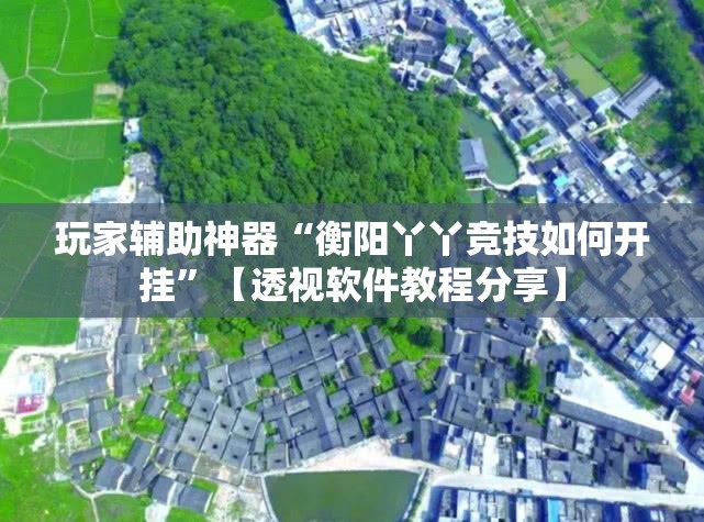 玩家辅助神器“衡阳丫丫竞技如何开挂	”【透视软件教程分享】