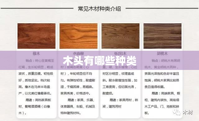 木头有哪些种类