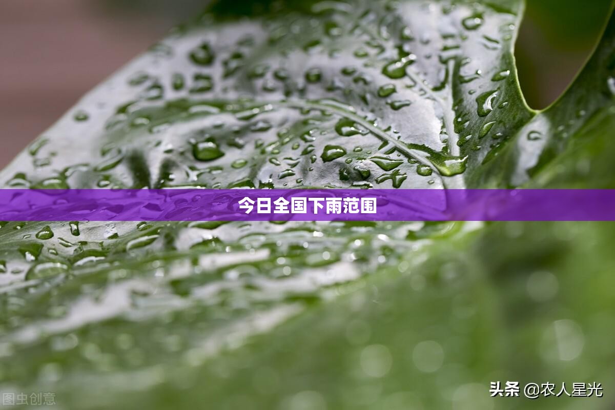今日全国下雨范围
