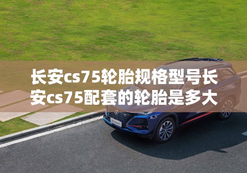 玩家辅助神器:天天十三张辅助软件”2026开挂教程步骤