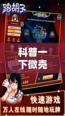 科普一下微壳跑胡子安装”详细辅助教程分享