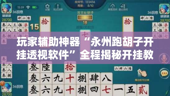 玩家辅助神器“永州跑胡子开挂透视软件”全程揭秘开挂教程