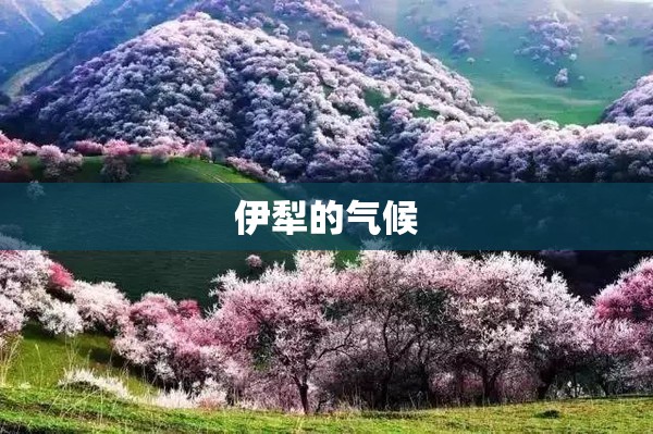 玩家辅助神器:达人十三水游戏中心!最新火爆必备系统