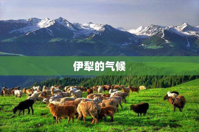 伊犁的气候 伊犁的气候