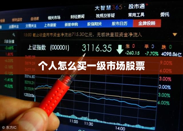 个人怎么买一级市场股票