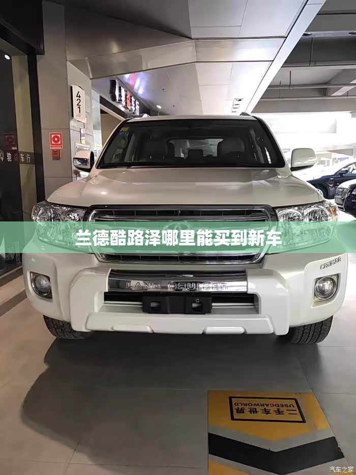 玩家辅助神器:“方片十三张开挂方法”透视开挂辅助教程