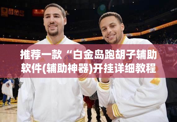 推荐一款“白金岛跑胡子辅助软件(辅助神器)开挂详细教程 推荐一款“白金岛跑胡子辅助软件(辅助神器)开挂详细教程