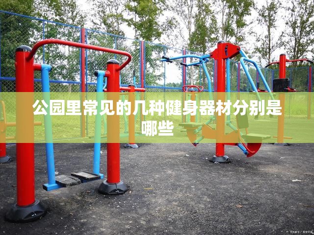 营川坠龙事件的质疑央视节目