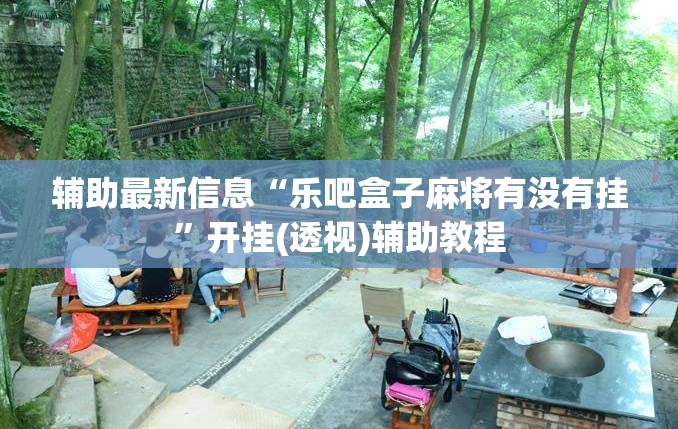 辅助最新信息“乐吧盒子麻将有没有挂”开挂(透视)辅助教程