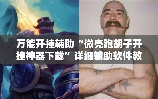 万能开挂辅助“微壳跑胡子开挂神器下载”详细辅助软件教程