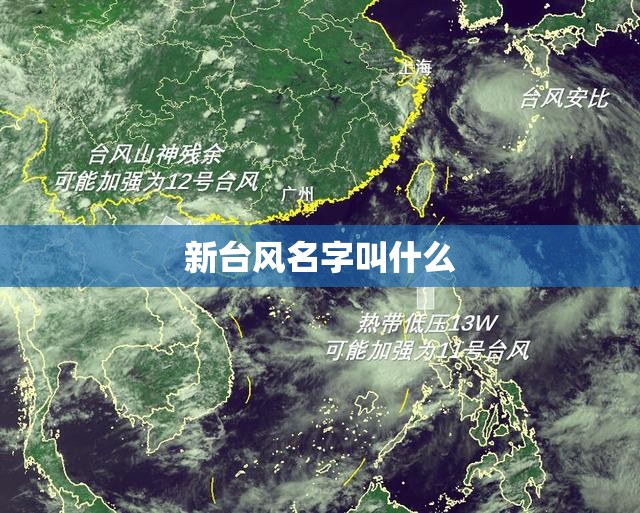 新台风名字叫什么