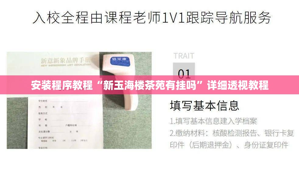 安装程序教程“新玉海楼茶苑有挂吗”详细透视教程