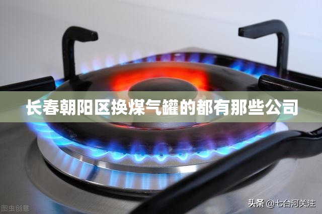 长春朝阳区换煤气罐的都有那些公司 长春朝阳区换煤气罐的都有那些公司