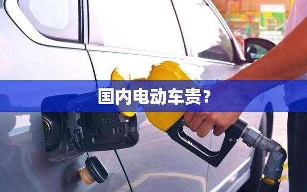 国内电动车贵？