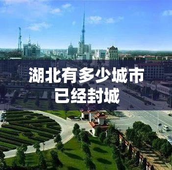 湖北有多少城市已经封城