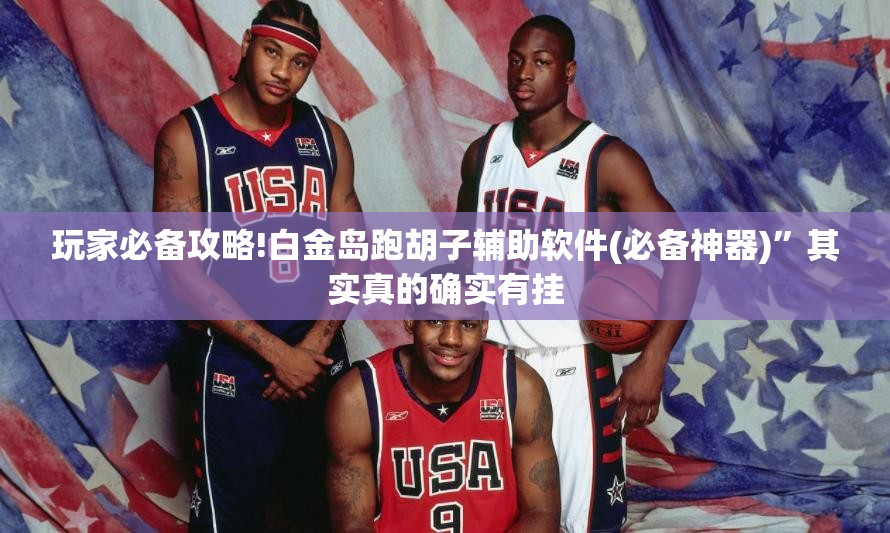 玩家必备攻略!白金岛跑胡子辅助软件(必备神器)	”其实真的确实有挂
