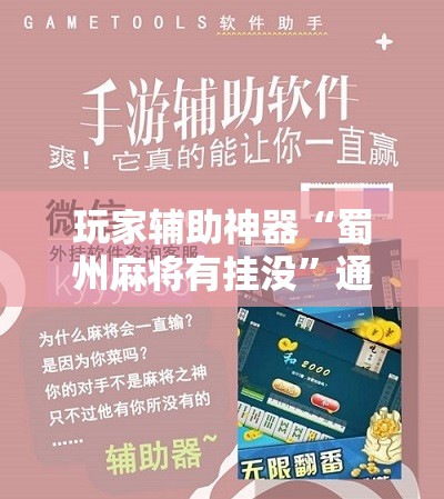 玩家辅助神器“蜀州麻将有挂没	”通用版下载教程