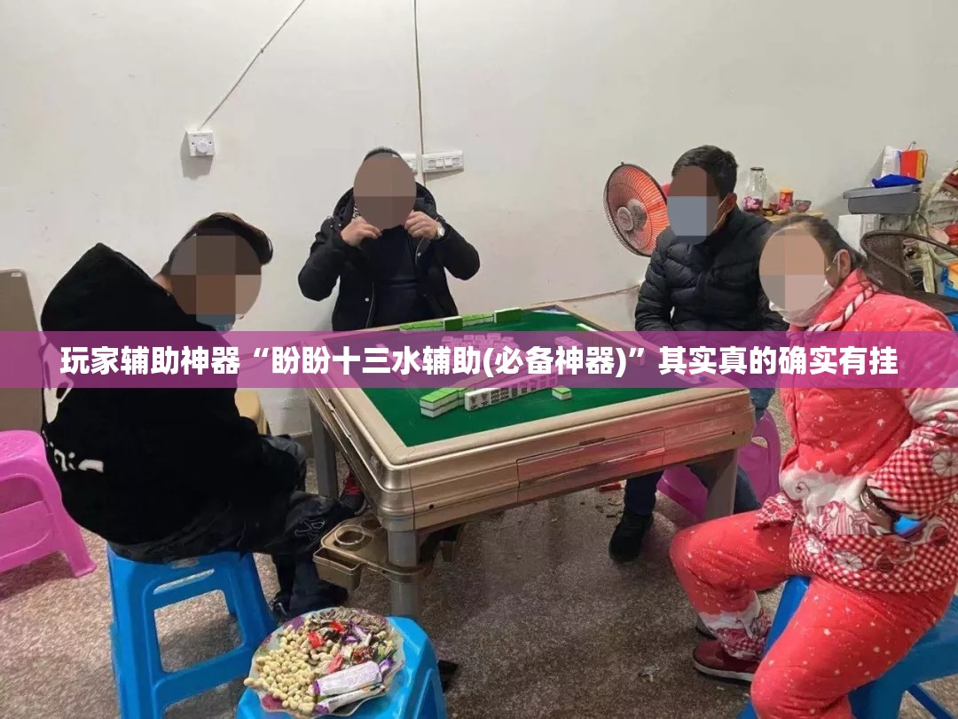 玩家辅助神器“盼盼十三水辅助(必备神器)”其实真的确实有挂