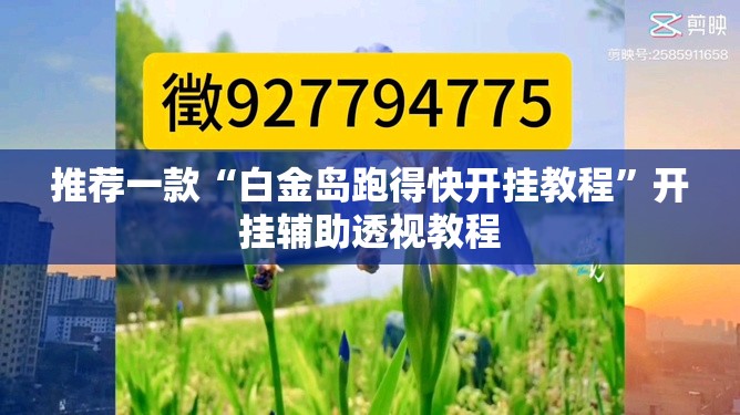 推荐一款“白金岛跑得快开挂教程	”开挂辅助透视教程