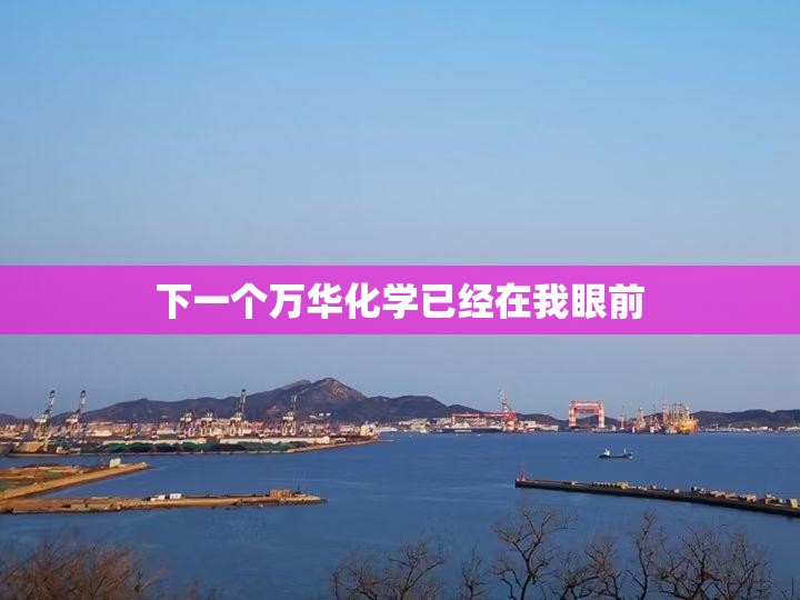 下一个万华化学已经在我眼前 下一个万华化学已经在我眼前