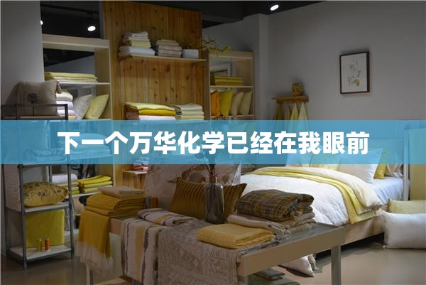 下一个万华化学已经在我眼前 下一个万华化学已经在我眼前