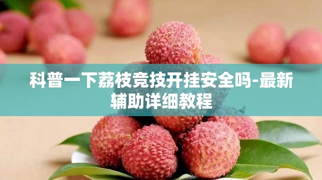 安装程序教程“067互娱挂能开挂嘛”详细分享装挂步骤